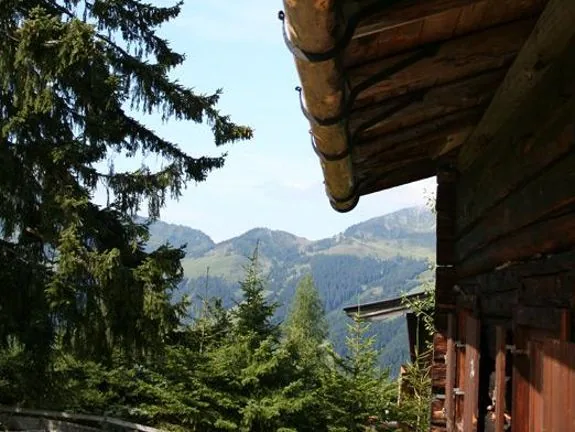 Holzbau — Alpenraum: Traditionelles Holzdach mit Rinne